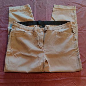 Lane Bryant Grey Slacks. Skinny Leg, Size 20.